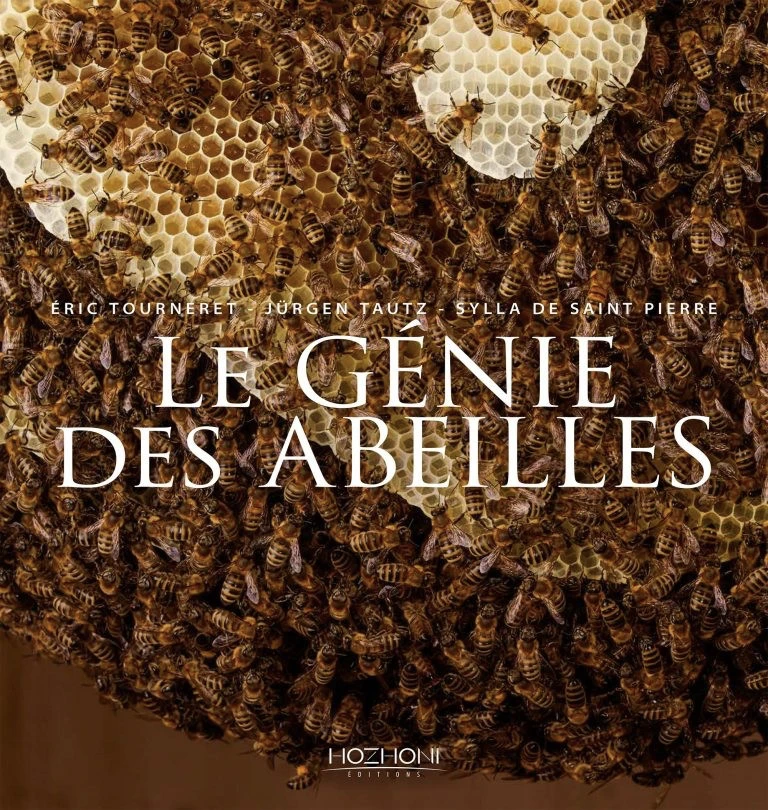 La Miellerie d'Alre - LE GÉNIE DES ABEILLES