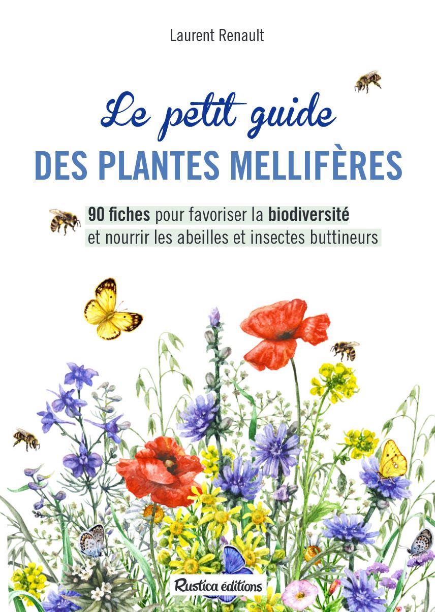 La Miellerie d'Alre - Le petit guide des plantes mellifères
